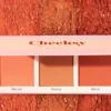 CHEEKSY blush palette (ROUGE)